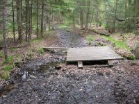 CASCADE LAKE HAMILTON NORTHERN NY 5-19-2010_00019.JPG