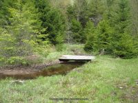 CASCADE LAKE HAMILTON NORTHERN NY 5-19-2010_00021.JPG