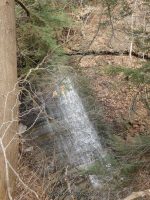 Emery Park North Falls Erie County Western New York 4-13-2014_00004.JPG