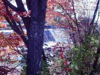 BEAVER FALLS LEWIS NORTHERN NY 10-07-2006_00001.JPG