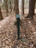 Emery Park South Falls Erie County Western New York 4-13-2014_00001.JPG