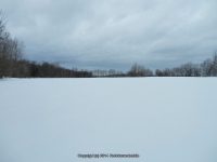 F1 3-6-2013_00001.JPG