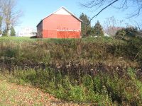 F1 10-26-2008_00001.JPG