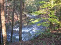 F1 10-26-2008_00009.JPG
