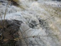 F2 10-26-2008_00006.JPG
