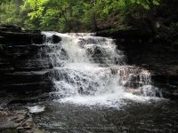 F3 6-8-2011_00001.JPG