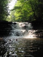 F3 6-8-2011_00005.JPG
