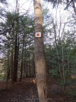 Eternal Flame Falls Erie County Western New York 4-13-2014_00005.JPG