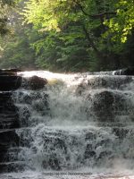 F3 6-8-2011_00008.JPG