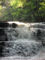 F3 6-8-2011_00012.JPG