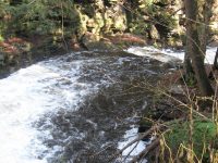 F3 10-26-2008_00001.JPG
