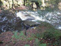 F3 10-26-2008_00002.JPG