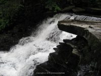 F4 6-8-2011_00001.JPG