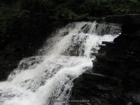 F4 6-8-2011_00002.JPG