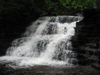 F4 6-8-2011_00003.JPG