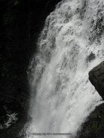 F4 6-8-2011_00004.JPG