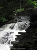 F4 6-8-2011_00007.JPG