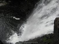 F5 6-8-2011_00001.JPG