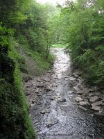 F5 6-8-2011_00002.JPG
