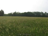 F5 6-8-2011_00003.JPG