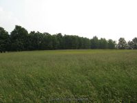F5 6-8-2011_00004.JPG
