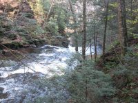 F5 10-26-2008_00001.JPG