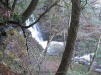 F5 10-26-2008_00002.JPG
