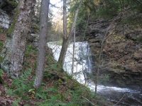 F5 10-26-2008_00007.JPG