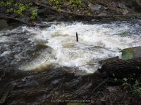 F5 10-26-2008_00013.JPG