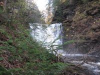 F5 10-26-2008_00014.JPG