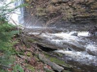 F5 10-26-2008_00016.JPG