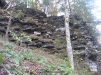 F5 10-26-2008_00019.JPG