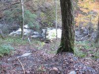 F5 10-26-2008_00028.JPG
