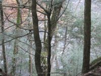F5 10-26-2008_00033.JPG
