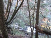 F5 10-26-2008_00037.JPG