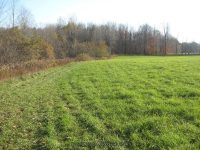 F5 10-26-2008_00042.JPG