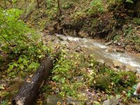 BUTTERMILK FALLS (LITTLE FALLS) HERKIMER COUNTY CENTRAL NEW YORK 10-4-2014_00011.JPG