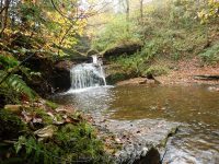 BUTTON FALLS MADISON COUNTY CENTRAL NEW YORK 10-4-2014_00023.JPG