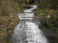 JOHNS LOWER SCHUYLER CENTRAL NY 10-19-2010_00001.JPG