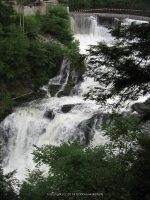 DIONONDAHOWA WASHINGTON EASTERN NY 7-16-2010_00003.JPG