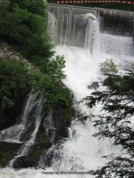 DIONONDAHOWA WASHINGTON EASTERN NY 7-16-2010_00004.JPG