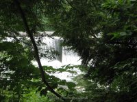 DIONONDAHOWA WASHINGTON EASTERN NY 7-16-2010_00005.JPG