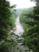 DIONONDAHOWA WASHINGTON EASTERN NY 7-16-2010_00008.JPG