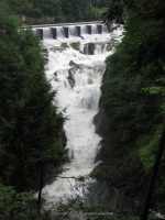 DIONONDAHOWA WASHINGTON EASTERN NY 7-16-2010_00011.JPG
