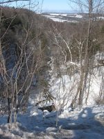 JUDD FALLS OTSEGO CENTRAL NY 3-06-2010_00001.JPG