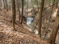 Harrigan's Falls Erie County Western New York 4-13-2014_00001.JPG