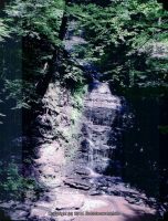 FILMORE bridge 6 to bridge 7 dalibarda 6-19-2004_00002.JPG