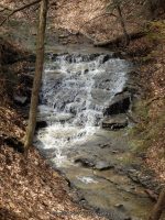 Harrigan's Falls Erie County Western New York 4-13-2014_00002.JPG