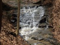 Harrigan's Falls Erie County Western New York 4-13-2014_00003.JPG