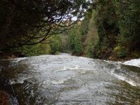 WHITAKER FALLS STATE PARK LEWIS COUNTY NORTHERN NEW YORK 10-18-2014_00013.JPG